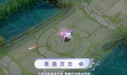 最新皮肤8月爆料视频,视觉盛宴与神秘元素交织